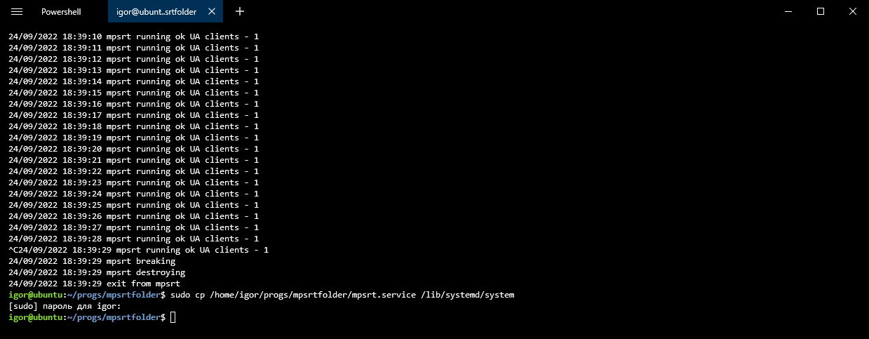 linux_ustanovka_na_linux_ubuntu_zapusk_na_vypolnenie8
