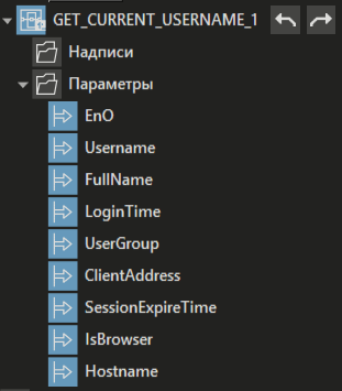 GET_CURRENT_USERNAME