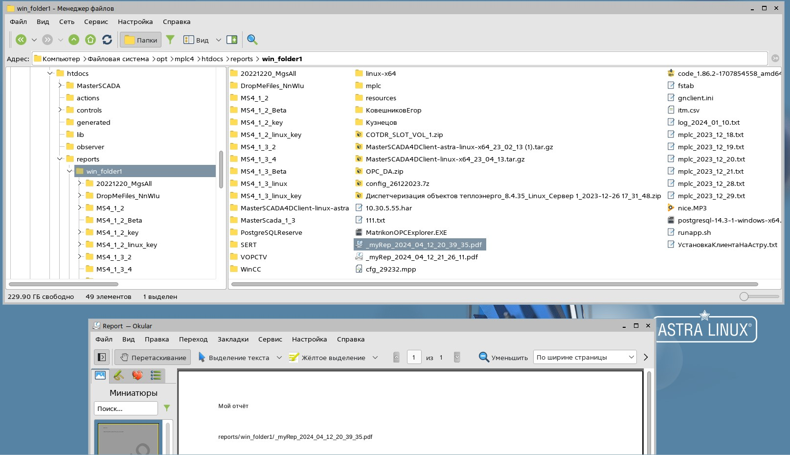 Otchet_v_setevoy_papke_5